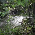 Absolute Aud Plumbing