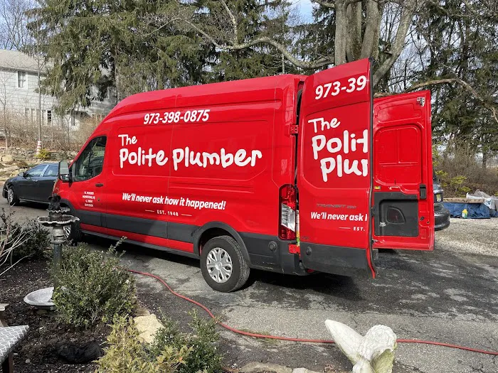 The Polite Plumber Picture 2