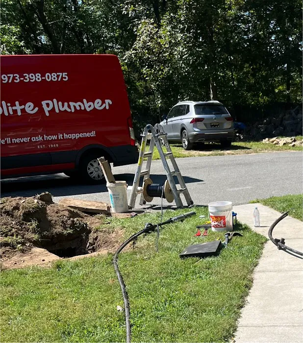 The Polite Plumber Picture 6