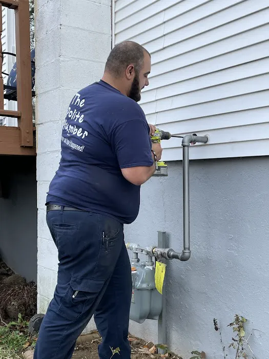 The Polite Plumber Picture 4