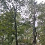 C C Well Pumps, Plumbing & Heating