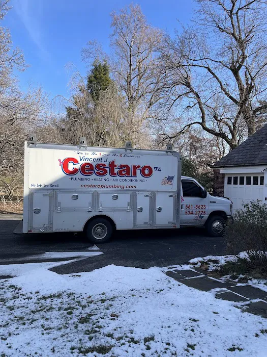 Vincent J Cestaro & Son Plumbing Picture 1