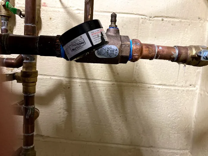 Call The Plumber Picture 4