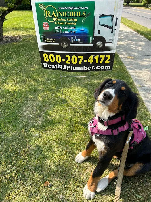 RA Nichols Home Services Picture 7