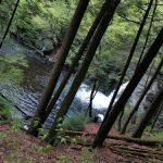 NOBLE Plumbing, Heating, Air Conditioning, & Drain Cleaning