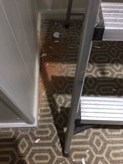 People's Plumbing LLC Picture 2
