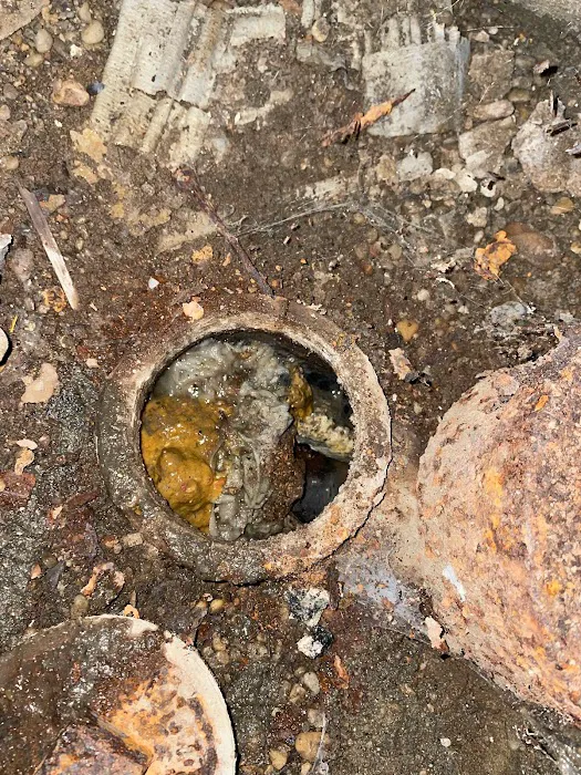 George The Sewer Gator Plumbing & Drain Cleaning Picture 7
