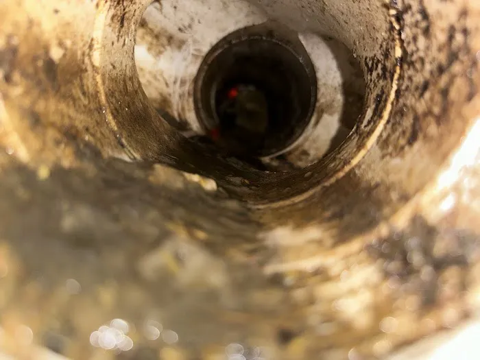 Royal Sewer&Drain Service LLC Picture 7