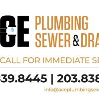 Ace Plumbing Sewer & Drain ico