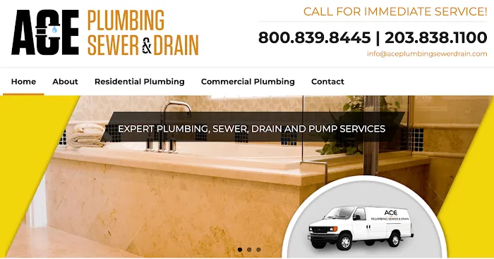 Ace Plumbing Sewer & Drain Picture 4
