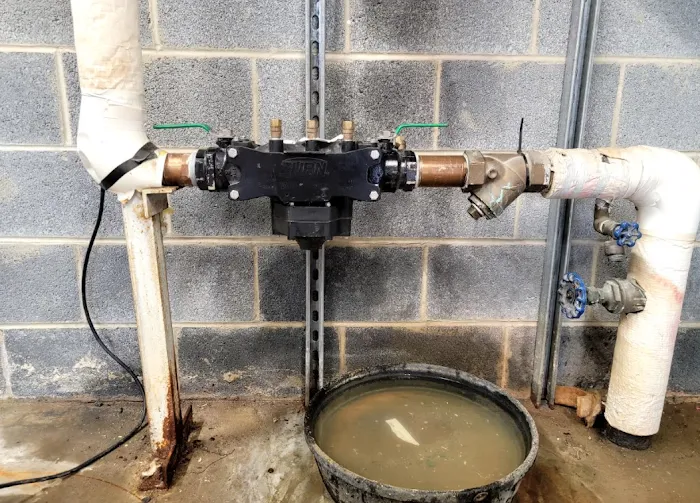 Empire Backflow Picture 1