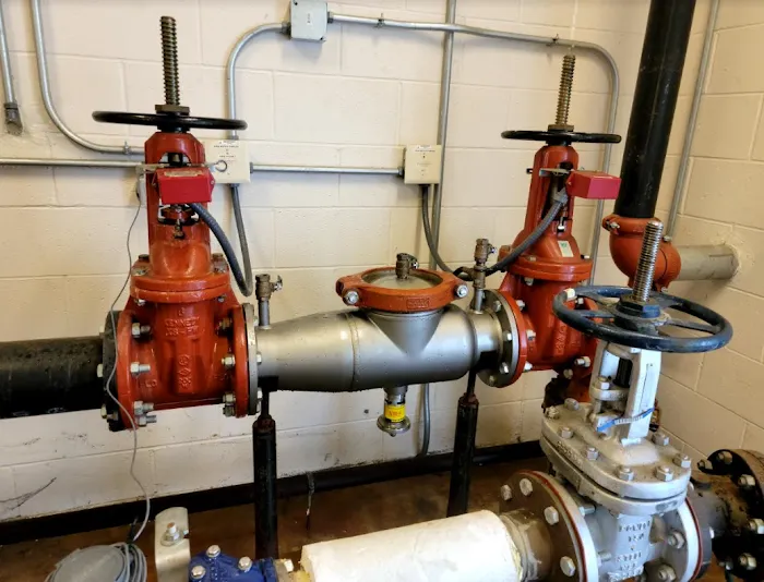 Empire Backflow Picture 2