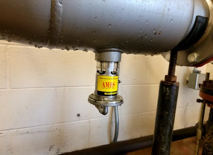 Empire Backflow Picture 3