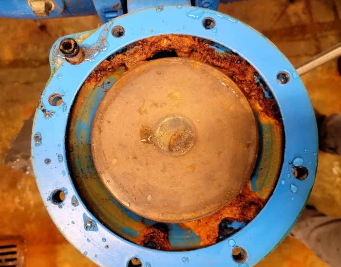 Empire Backflow Picture 9