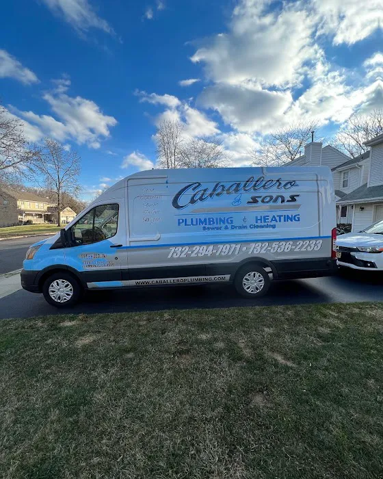 Caballero & Sons Inc Picture 4