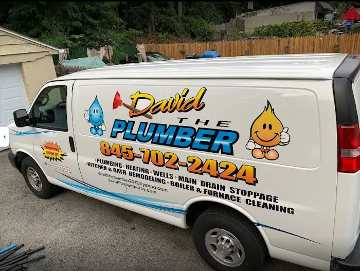 David the Plumber Picture 3