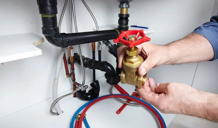 David the Plumber Picture 10