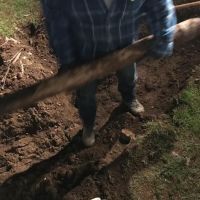 Plumtrees Plumbing and Heating, LLC ico