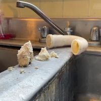 The Reliable Plumber ico