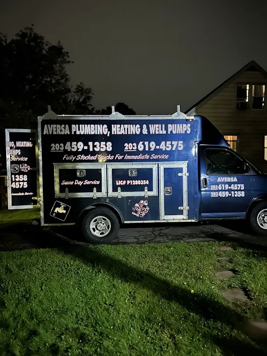 Aversa Plumbing-Well Pump Services Picture 1