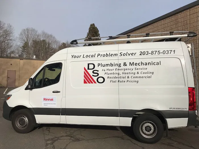 DSO Plumbing and Mechanical Picture 1