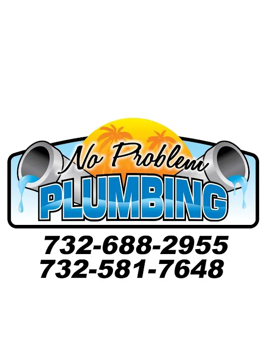 NO PROBLEM PLUMBING LLC Picture 1