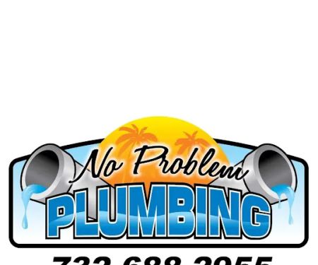 NO PROBLEM PLUMBING LLC