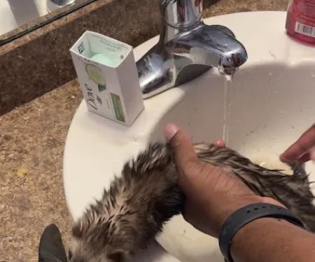 PHIL PARKINSON PLUMBING LLC