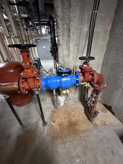 Blue Boxer Plumbing Picture 8