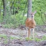 Joe Smolarski & Son Plumbing & Heating LLC