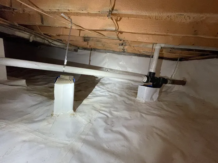Ray The Plumber Picture 7