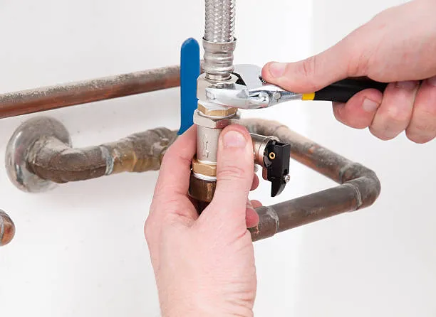 Ray The Plumber Picture 9