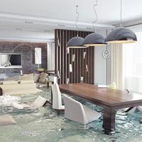 Agentis Plumbing ico