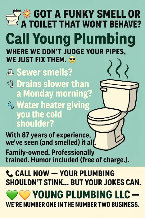 Young Plumbing LLC Picture 10