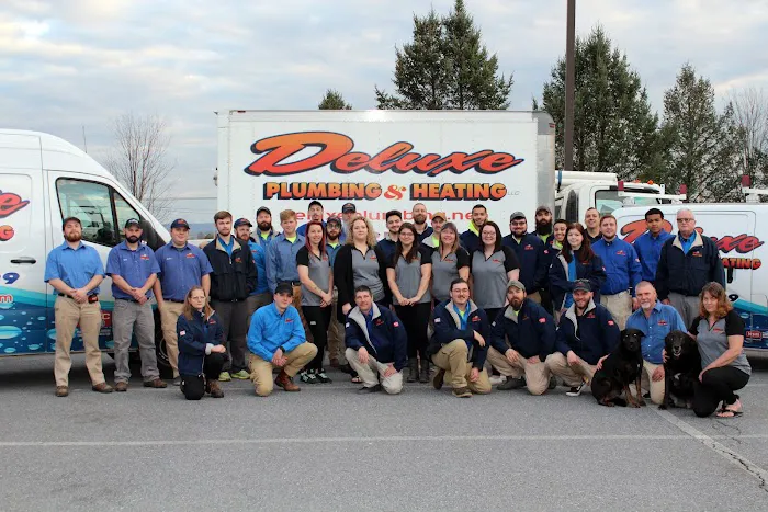 Deluxe Plumbing & Heating Picture 3