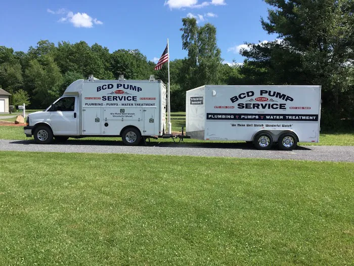 BCD Pump Service Picture 1
