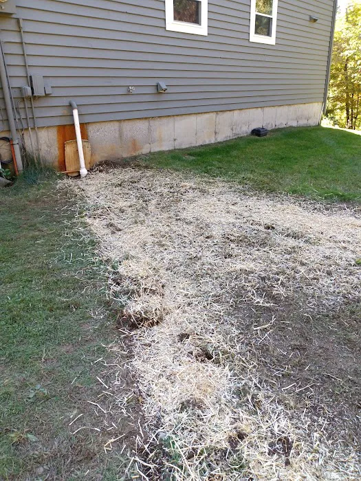 Mascetti's Plumbing Sewer and Drain Picture 3