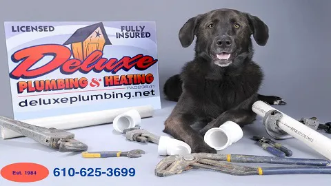 Deluxe Plumbing & Heating Picture 10