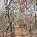 Michael Burke Sewer & Drain