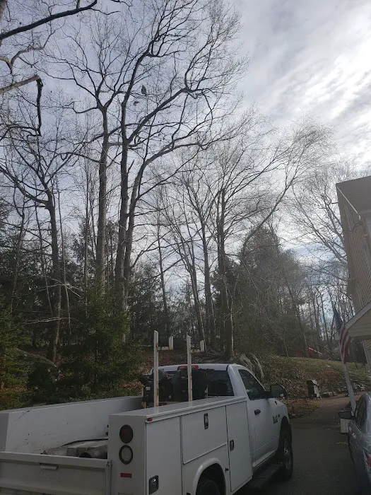 Dave's Town & Country Plumbing Picture 2