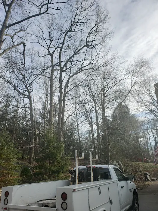 Dave's Town & Country Plumbing Picture 3