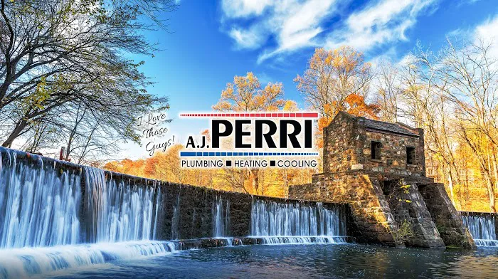 A.J. Perri Picture 10