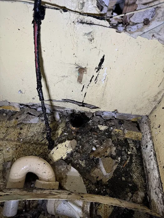 Rehmann Plumbing Picture 7