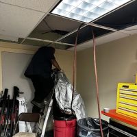 Apex Sewer & Drain Cleaning ico