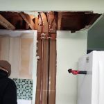 Daffodil Plumbing & Drain