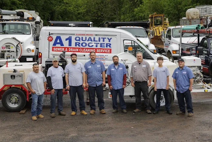 A1 Quality Rooter Picture 3