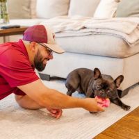 Davis Drain Cleaning ico
