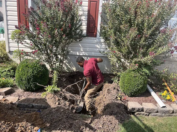 Davis Plumbing & Drain Picture 9