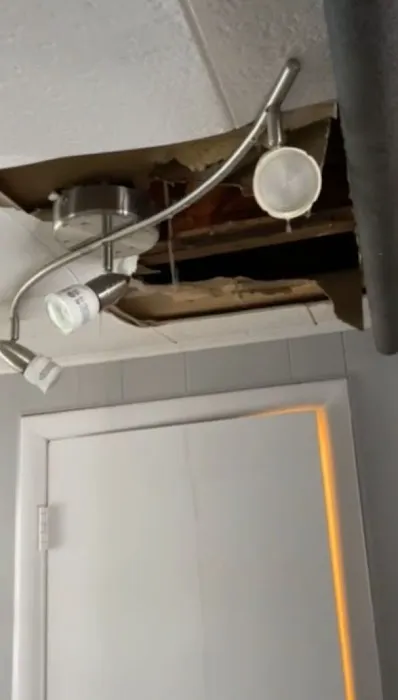 Ed Lane Plumbing Inc Picture 1