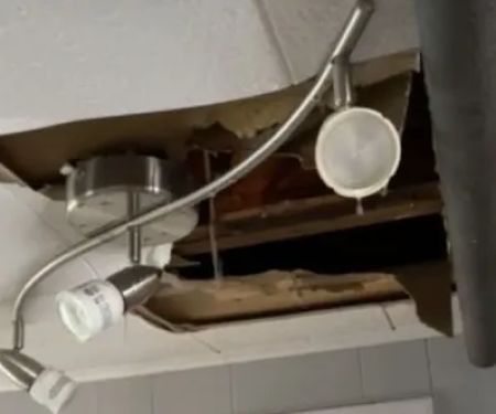 Ed Lane Plumbing Inc